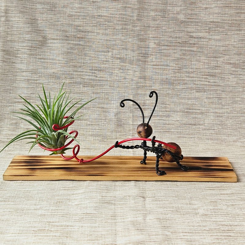 【技藝一流】含空鳳 - 盆栽/植栽 - 木頭 