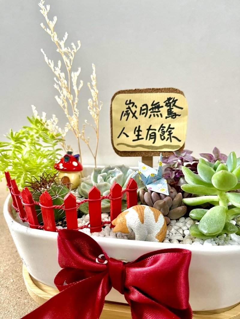 多肉組盆 多肉植物 日式枯山水 橘貓 貓奴送禮 貓咪 禪意 客製化 - 盆栽/植栽 - 植物．花 綠色