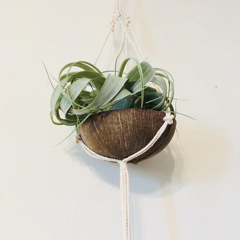 Handmade Macramé With Coco Shell Plant Hanger Indoor Outdoor Hanging Planter - ของวางตกแต่ง - ผ้าฝ้าย/ผ้าลินิน 