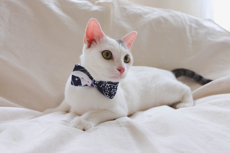 A-NI Collar for cats and dogs, spring rolls (bow) - 項圈/牽繩 - 其他材質 藍色
