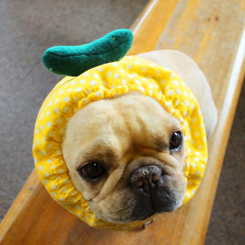 Chilled dog Zura * Yellow- * Cucumber - ชุดสัตว์เลี้ยง - ขนแกะ สีเหลือง