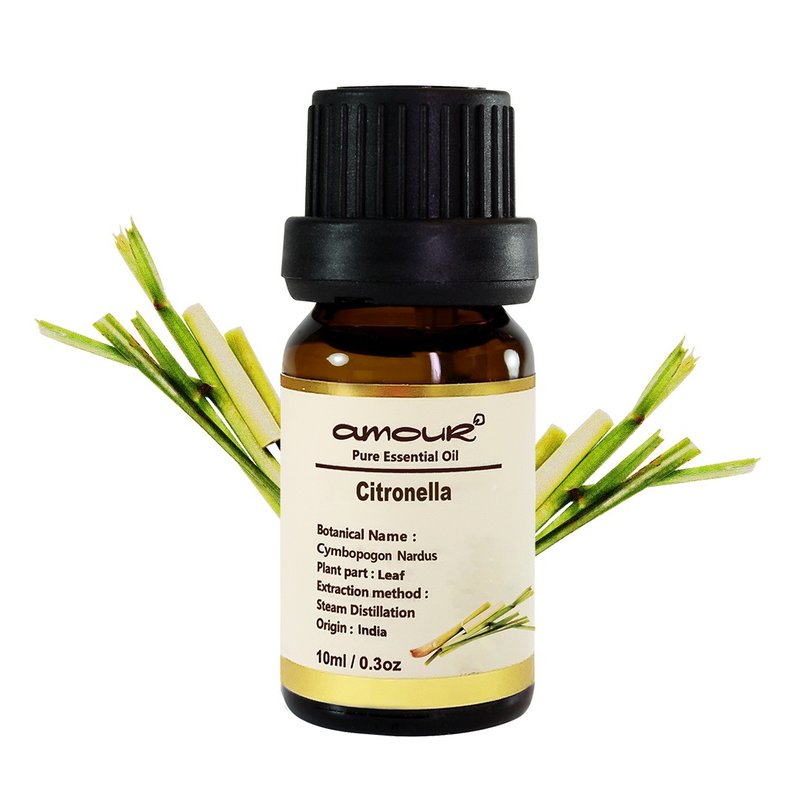 Amour Love Miracle Citronella Essential Oil 10ml - น้ำหอม - น้ำมันหอม สีเขียว