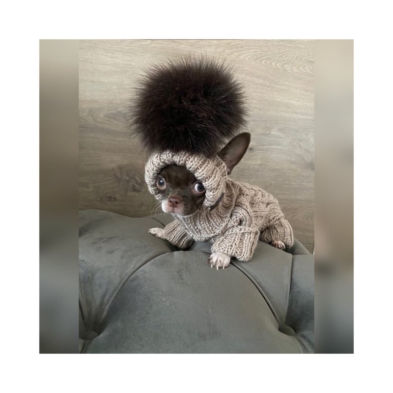 Puppy hat / Knit Dog hat for chihuahua / Dog beanie / Hat for small dogs - Clothing & Accessories - Wool Brown