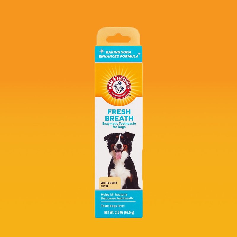 [Arm & Hammer] Enzyme toothpaste for pet dogs (anti-allergic) - Cleaning & Grooming - Other Materials Orange