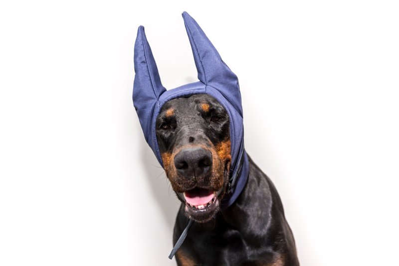 Navy Doberman Winter Hat Doberman Warmer Pitbull Hat Doberman Winter Snood Dog - Clothing & Accessories - Nylon Blue