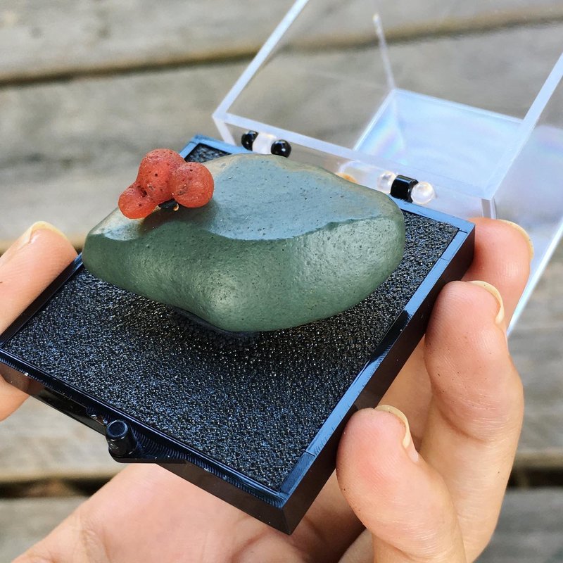 【Lost and find】天然 戈壁瑪瑙 綠泥 象形 毛虫 葉子 標本 - 擺飾/家飾品 - 寶石 綠色