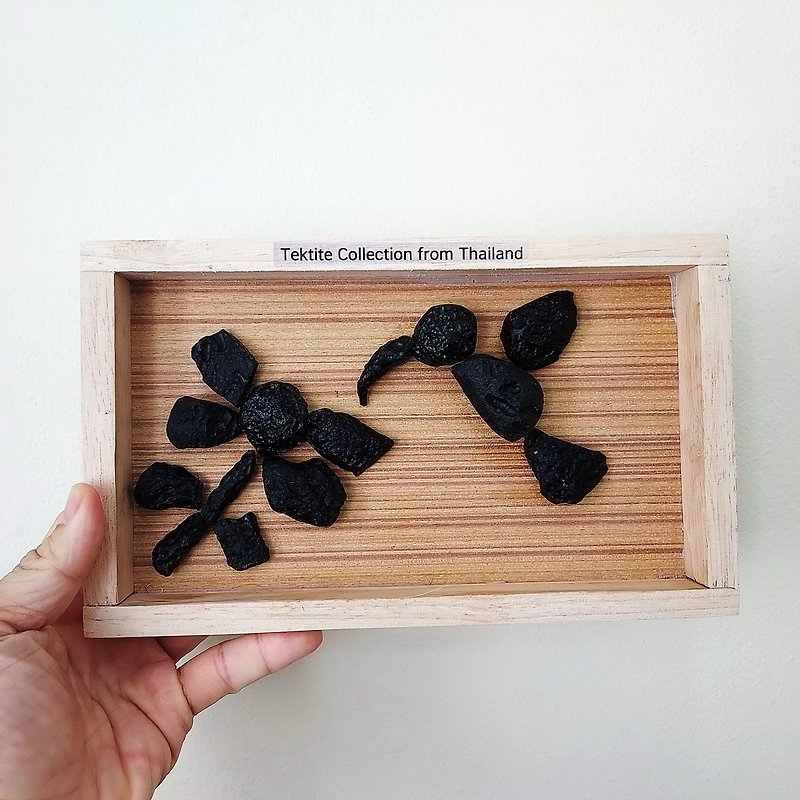 Creative with Indochinite Tektite in frame wood - Bird with Flower 24.5x15cm. - Items for Display - Stone Black