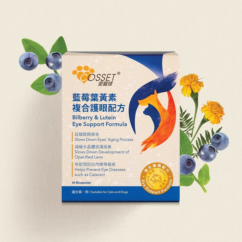 Ai Chongjian Blueberry Lutein Compound Eye Care Formula - Dry/Canned/Fresh Food - Other Materials 