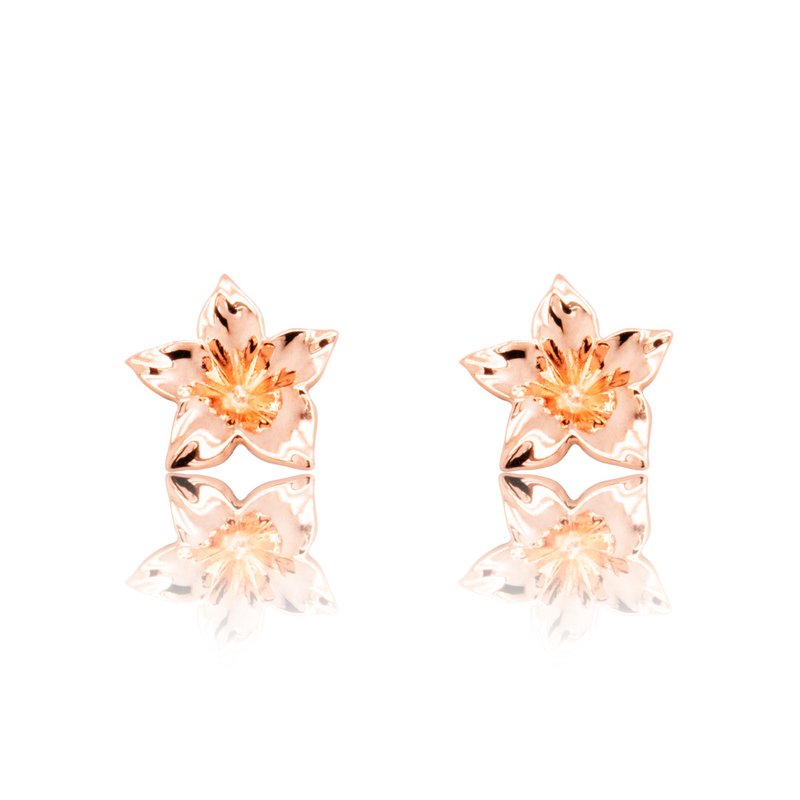 Blossom Studs - ต่างหู - เงินแท้ สีใส