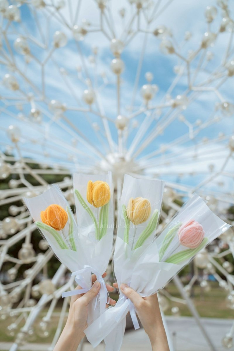 【可客製】毛根花 花束 花藝 鬱金香 - 乾燥花/永生花 - 植物．花 