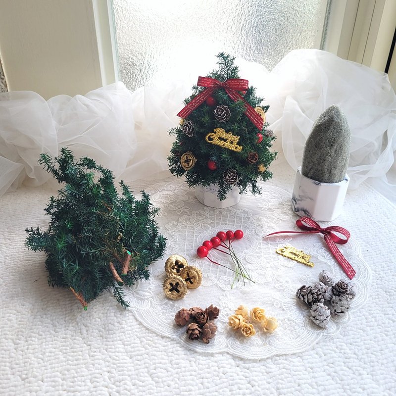 【Material Pack】Eternal Cedar Christmas Tree Diffusing Stone. Ornaments. Christmas gift box - จัดดอกไม้/ต้นไม้ - พืช/ดอกไม้ 