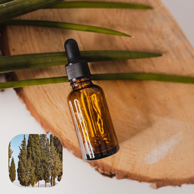 【香間小路】天然精油 絲柏精油 Cypress ( 贈送甜橙精油10ml ) - 香氛/精油/擴香 - 玻璃 透明