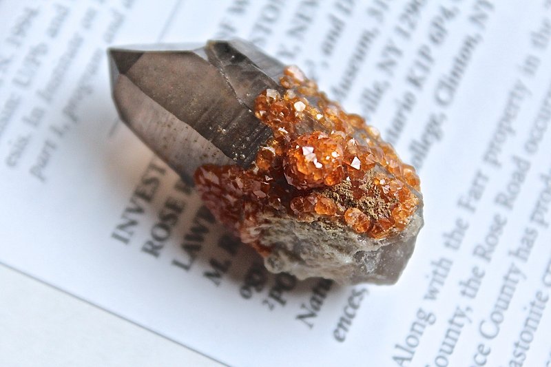 石栽 SHIZAI ▲特殊茶水晶與錳鋁榴石共生（含底座）▲ - 擺飾/家飾品 - 寶石 橘色