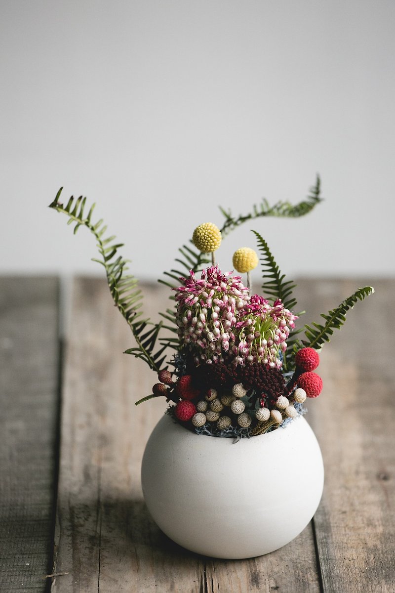 Potted Flower -春- 盆花、室內、送人 - 植栽/盆栽 - 植物．花 