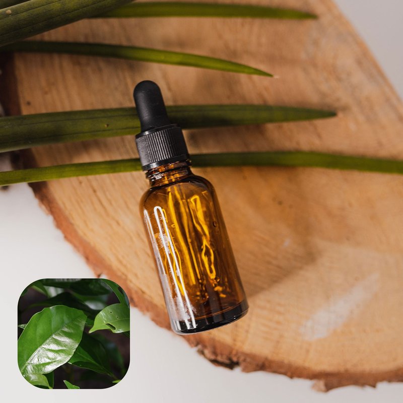 [Scented Path] Ho Leaf, a natural essential oil, essential oil of camphor leaf (10ml of sweet orange essential oil for free) - น้ำหอม - แก้ว สีใส