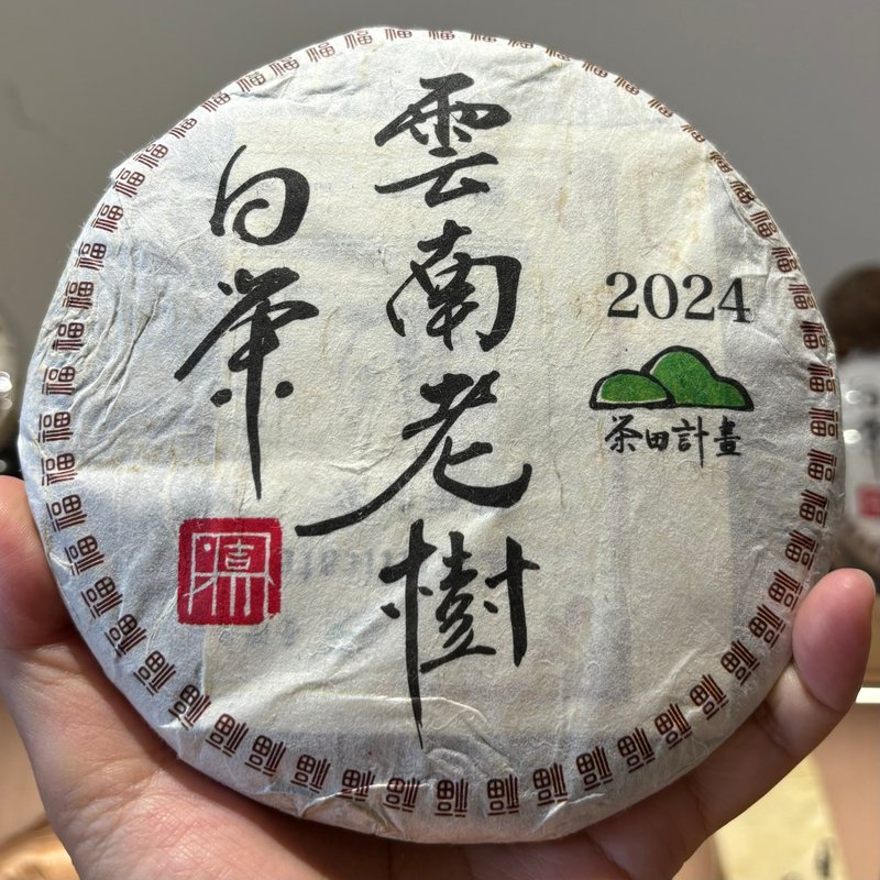 茶田計畫- 2024年 鳳慶白茶餅 貢眉白茶 - 茶葉/茶包/水果茶 - 其他材質 
