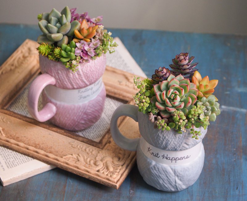 Healing Series | zakka hair coils. succulents group pots - ตกแต่งต้นไม้ - ดินเผา 