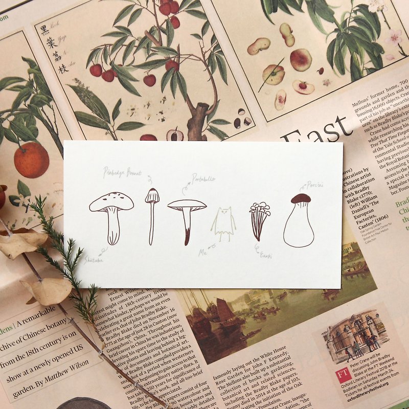 Mushroom introduction postcard - Cards & Postcards - Paper Red