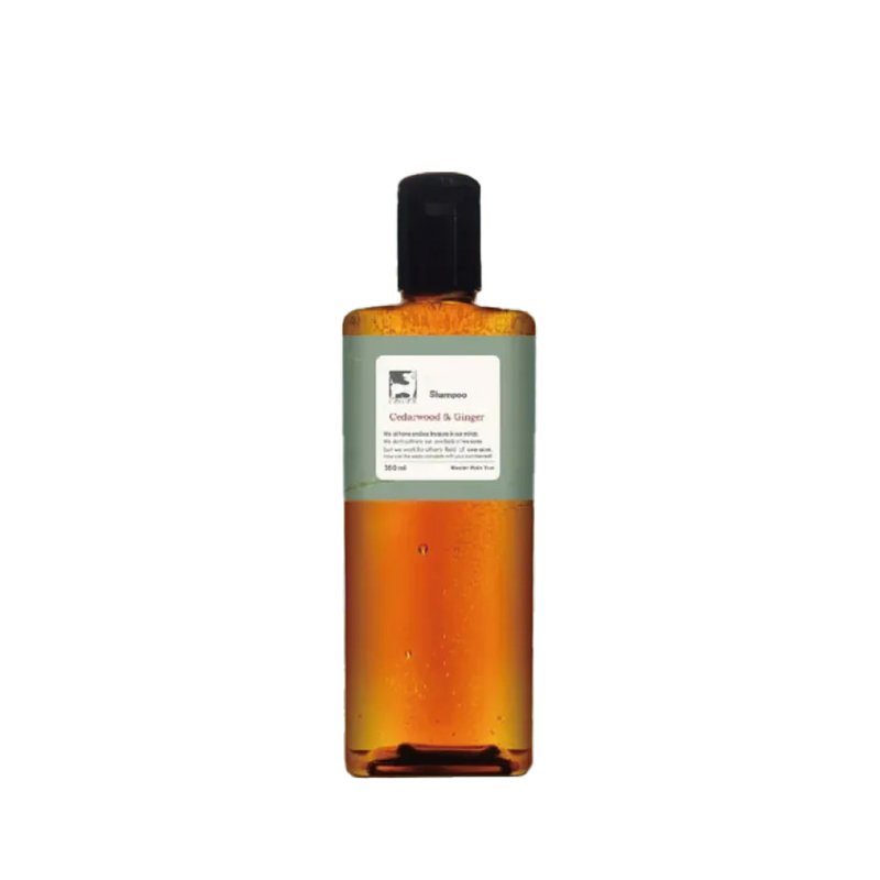 Treasure Cedar Ginger Fen Shampoo 360ml - แชมพู - สารสกัดไม้ก๊อก 