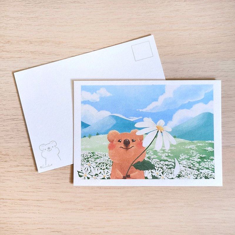 Thick Postcard - Smiling Wombat - Cards & Postcards - Paper Green