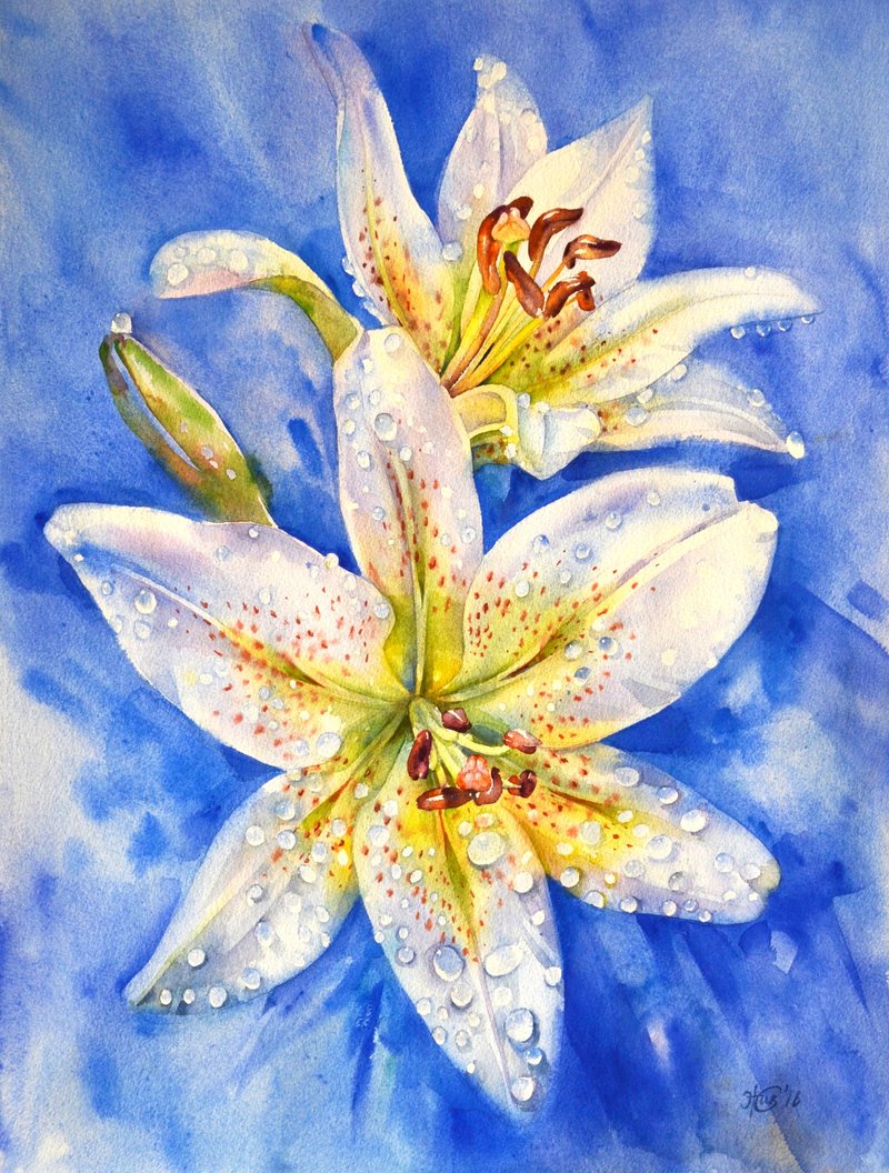 Lily original watercolor painting by artist Irina Zhunaeva - 壁貼/牆壁裝飾 - 紙 多色