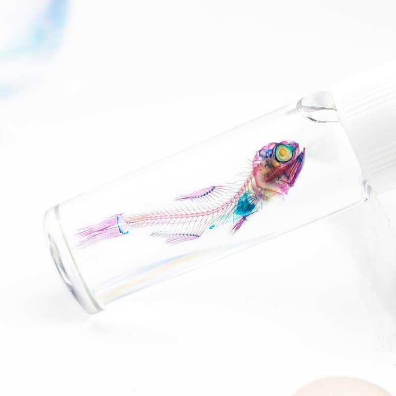 透明標本 燈籠魚 魚類標本 台灣海洋生物 - 擺飾/家飾品 - 玻璃 多色