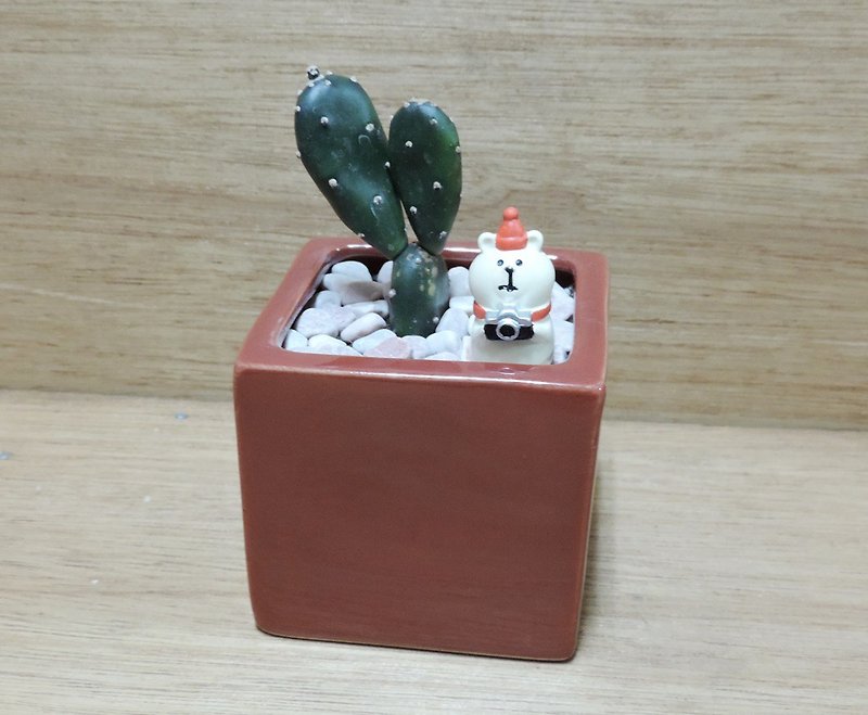 Healing Small Potted Cactus - ตกแต่งต้นไม้ - พืช/ดอกไม้ สีเขียว