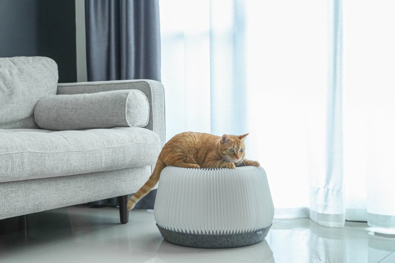 POUF 小宅凳 - 貓跳台/貓抓板 - 紙 