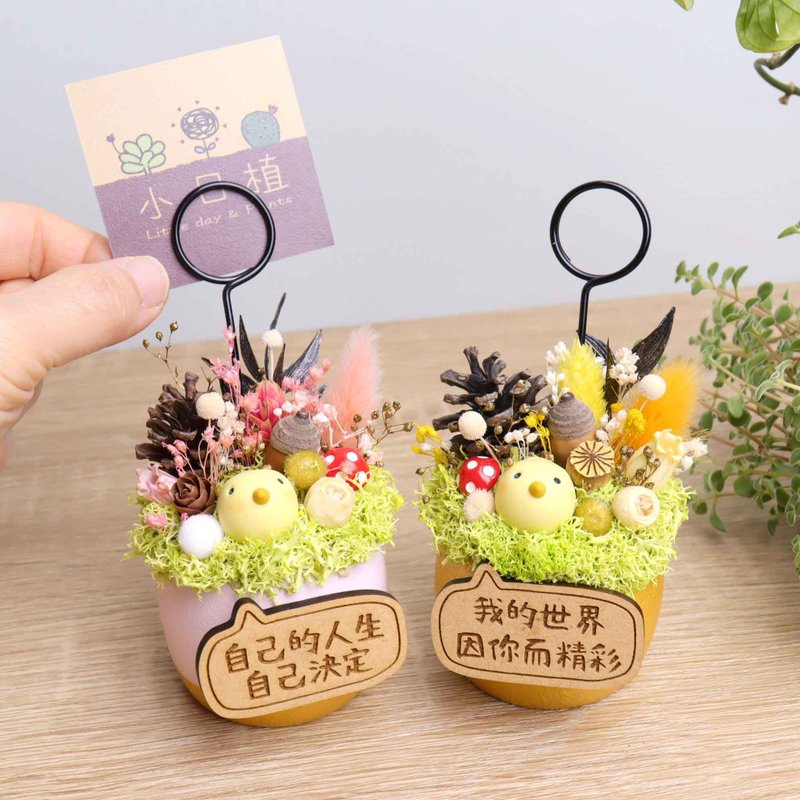軟陶小日鳥-乾燥花金蛋/粉蛋盆栽名片夾 附字牌 兒童生日畢業禮物 - 乾燥花/永生花 - 木頭 灰色