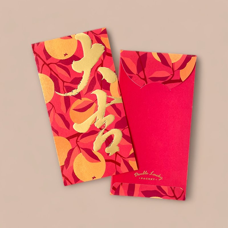 Big bronzing for good luck - red packets/ red envelopes/ 10 pieces - ถุงอั่งเปา/ตุ้ยเลี้ยง - กระดาษ หลากหลายสี
