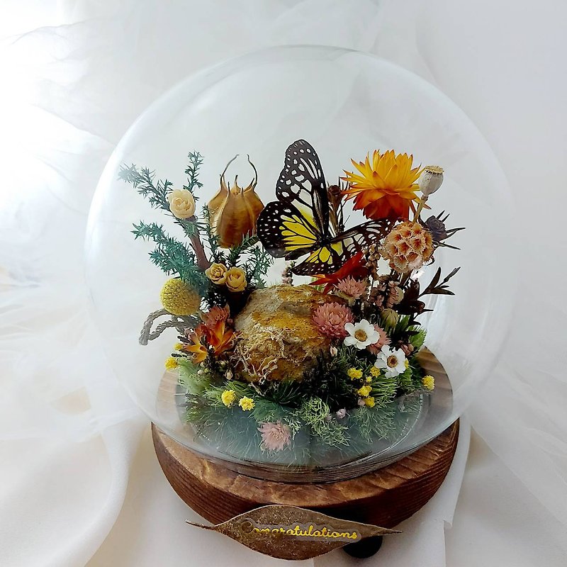 Yuyi Space ŸǘÝï Butterfly Specimen Glass Cup Lamp Holder Micro Landscape Specimen Insect Specimen