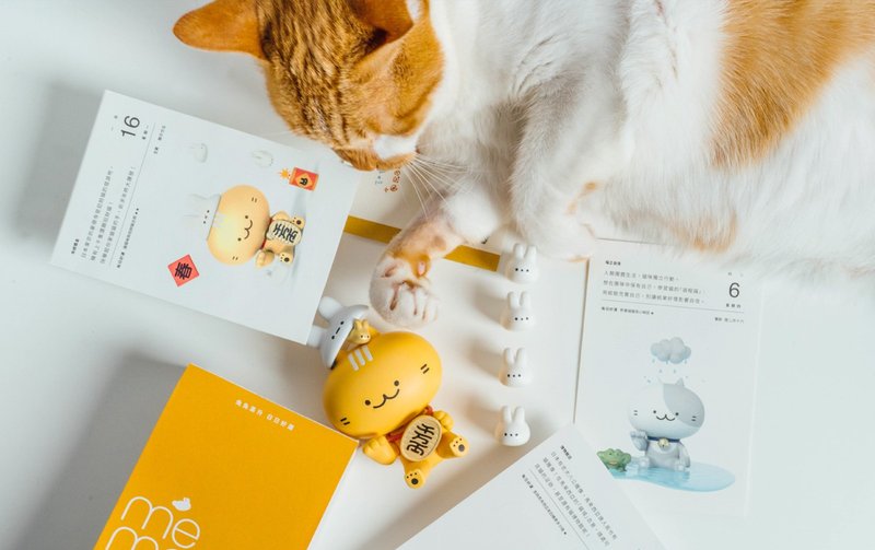 2023 | 兔兔高升 | 貓日曆【豪華旗艦組】 - 日曆/月曆/年曆 - 紙 橘色