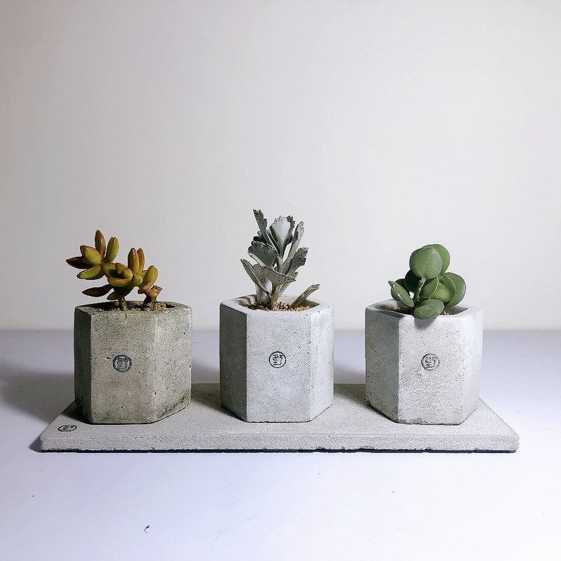 [Weeds don’t grow wild] Opening a new home and congratulating flowers - Liuliu Liu/Six-sided basin set of three including cushions - ตกแต่งต้นไม้ - พืช/ดอกไม้ สีเขียว