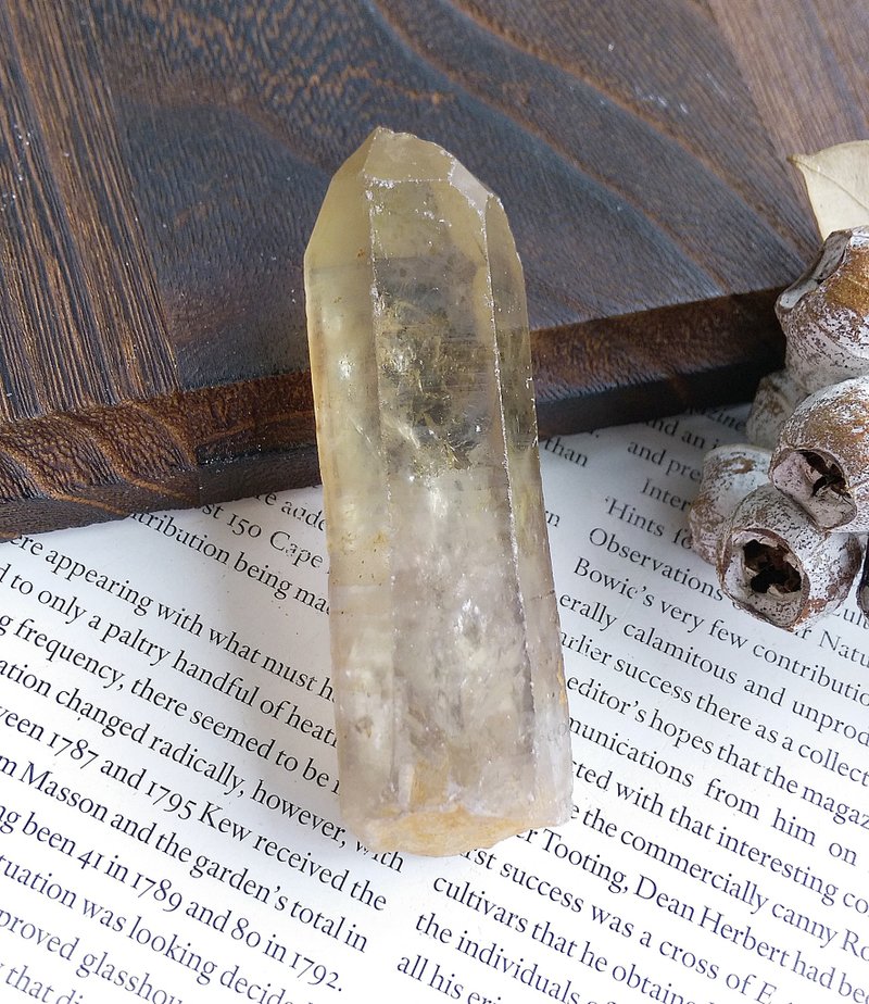 Citrine 尚比亞產地 黃水晶 單晶柱 天然礦石 原礦 - 擺飾/家飾品 - 其他材質 
