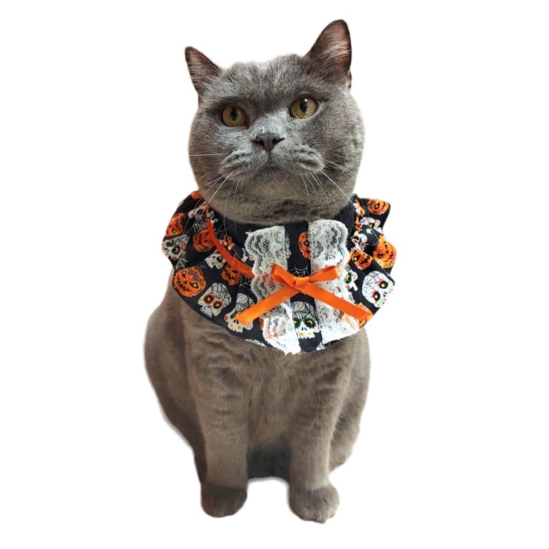 Pumpkin Skull Print Lace Collar - ชุดสัตว์เลี้ยง - ผ้าฝ้าย/ผ้าลินิน สีดำ