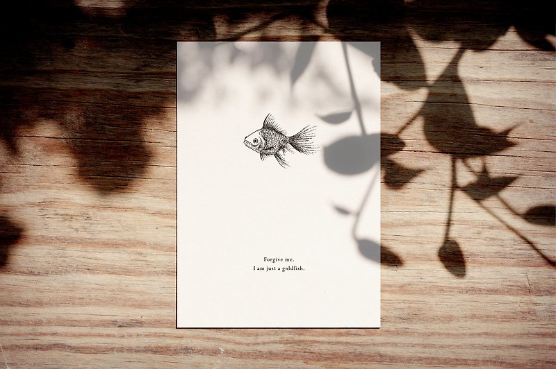 Goldfish "I'm Sorry" Postcard - Cards & Postcards - Paper White