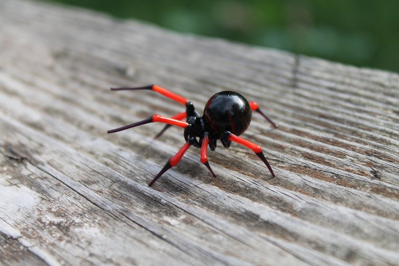 Collectible Orange Mini Glass Spider Sculpture for Animal Figurine Enthusiasts - งานเซรามิก/แก้ว - แก้ว สีส้ม