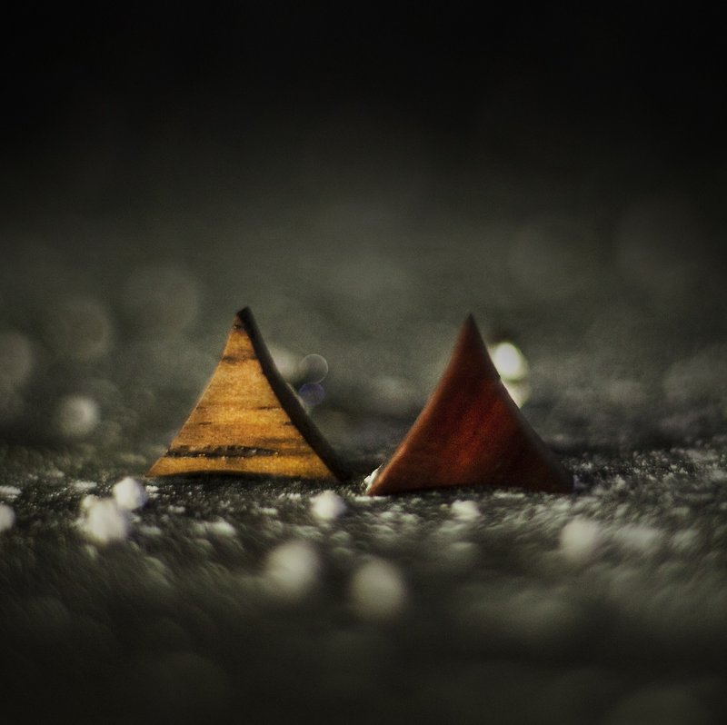【Hylé Design】 ORB-it wood earrings (small arc triangle, random wood color) - ต่างหู - ไม้ สีนำ้ตาล