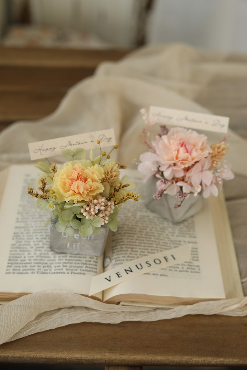 Carnation small table flower / mother's day does not wither flower carnation immortal flower dry flower - Dried Flowers & Bouquets - Plants & Flowers 