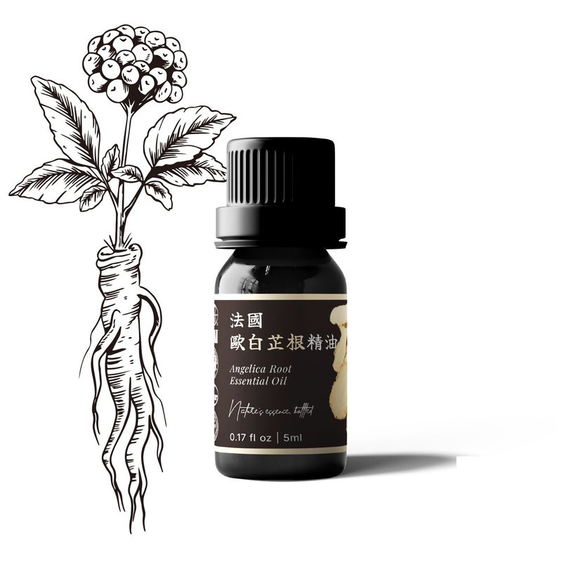 【卡佛香】法國歐白芷根精油 - 香氛/精油/擴香 - 玻璃 黑色