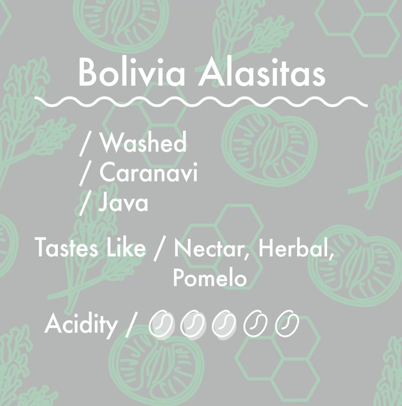 Coffee beans/half pound Bolivian Prayer Estate Javanese Washed - Coffee - Fresh Ingredients 