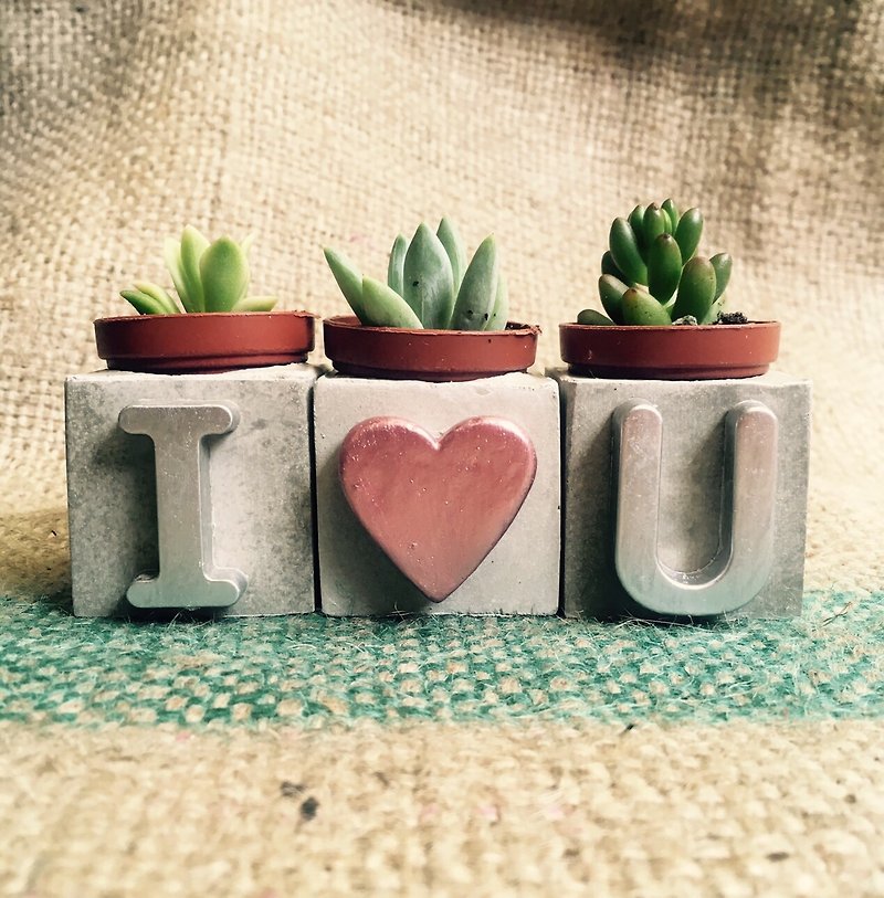 I love U shiny version! Succulent magnet potted plant - Plants - Cement Multicolor