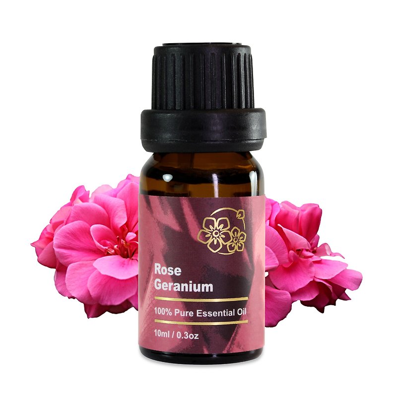 Rose Geranium Essential Oil 10ml - Fragrances - Essential Oils Pink