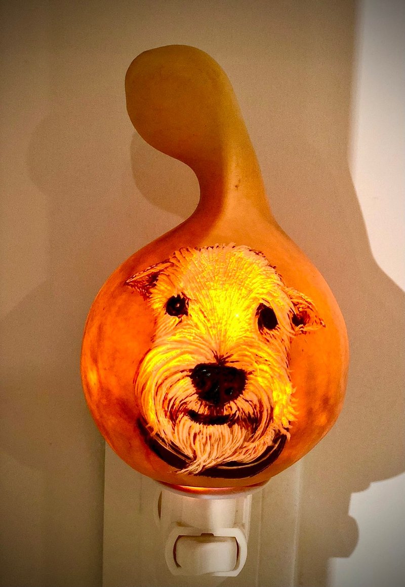 Gourd Customized Pet Safety Lamp Production - Customized Portraits - Other Materials 