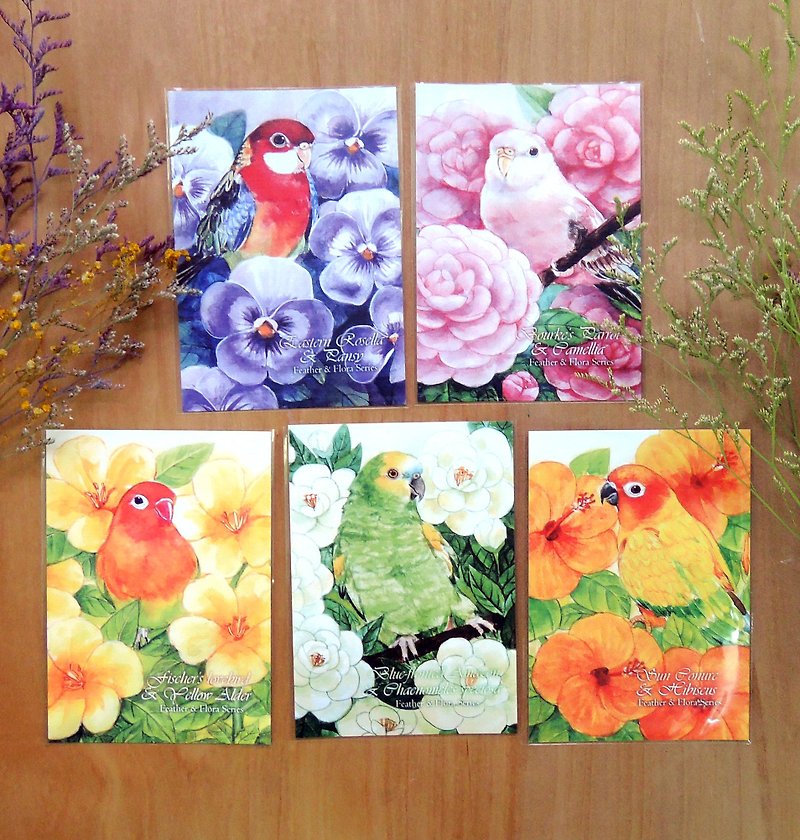 Flower feather series 4 postcards sets - Cards & Postcards - Paper Orange