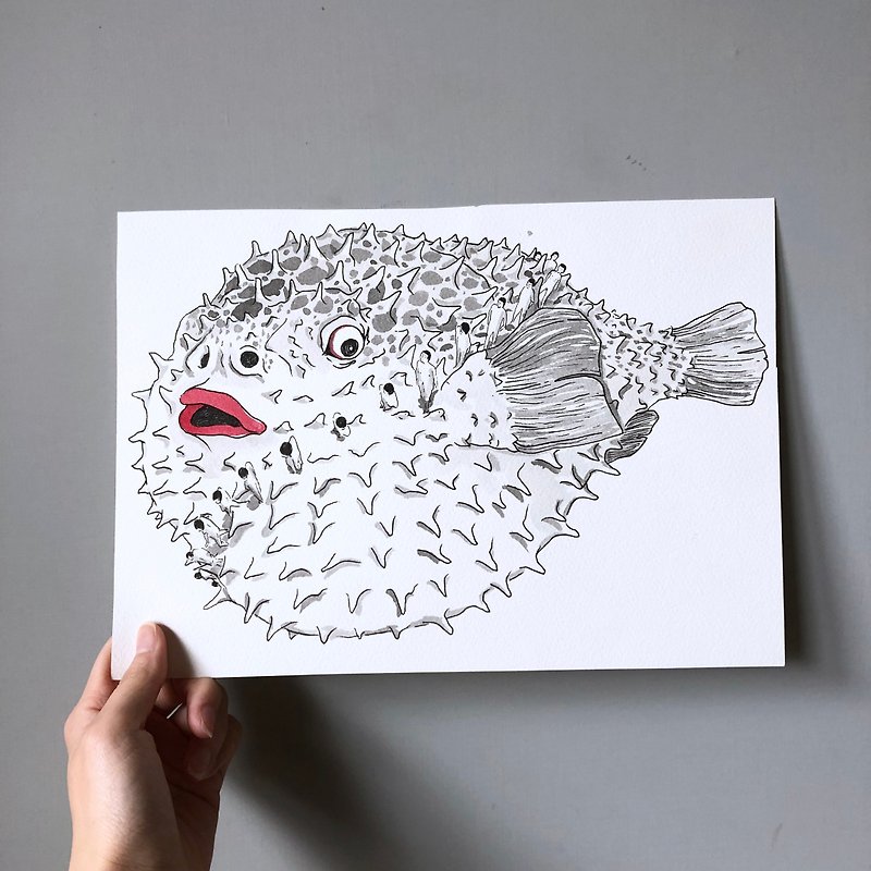 Cheeky Boy Original Painting - Animal Series - Puffer Fish - โปสเตอร์ - กระดาษ 