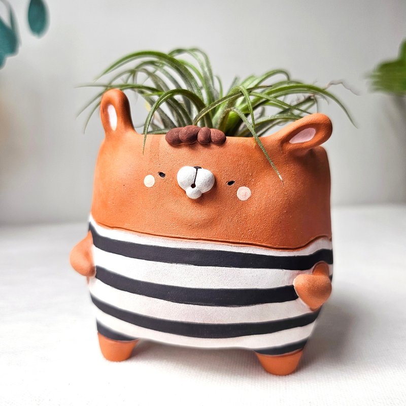 Bunny bandit planter. Handmade terracotta 植木鉢 - 花瓶・植木鉢 - 陶器 