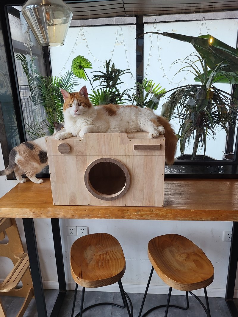 Solid wood vintage camera  cat bed  Cat Litter Box teapoy - อื่นๆ - ไม้ สีกากี