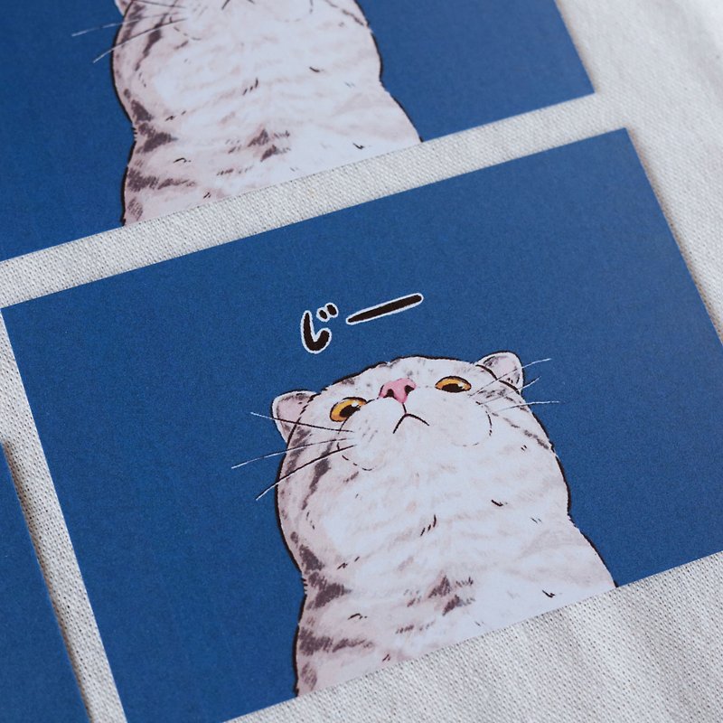 猫はあなたを軽蔑する 猫ポストカード - カード・はがき - 紙 ブルー