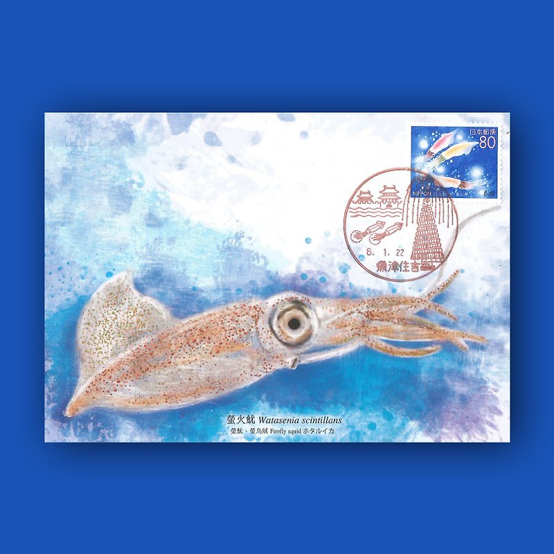 Firefly squid original picture card - การ์ด/โปสการ์ด - กระดาษ สีม่วง